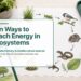 Fun Ways to Teach Energy in Ecosystems blog cover with classroom food web illustrations