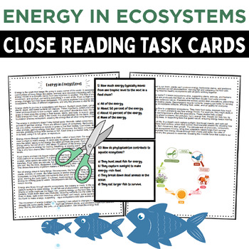 Energy in Ecosystems task cards resource for reviewing food chains, food webs, and energy flow
