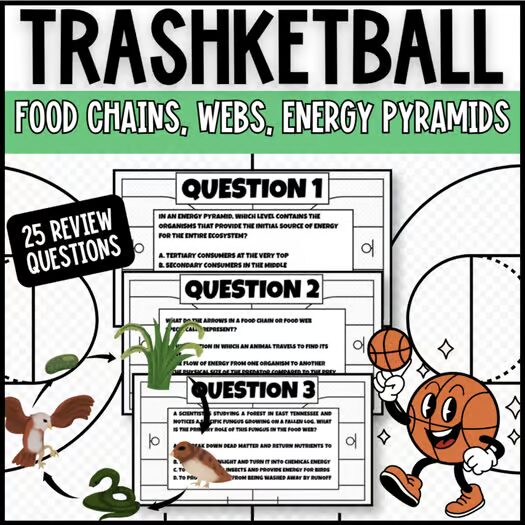 Food Chains Webs and Energy Pyramids Trashketball review game science activity cover