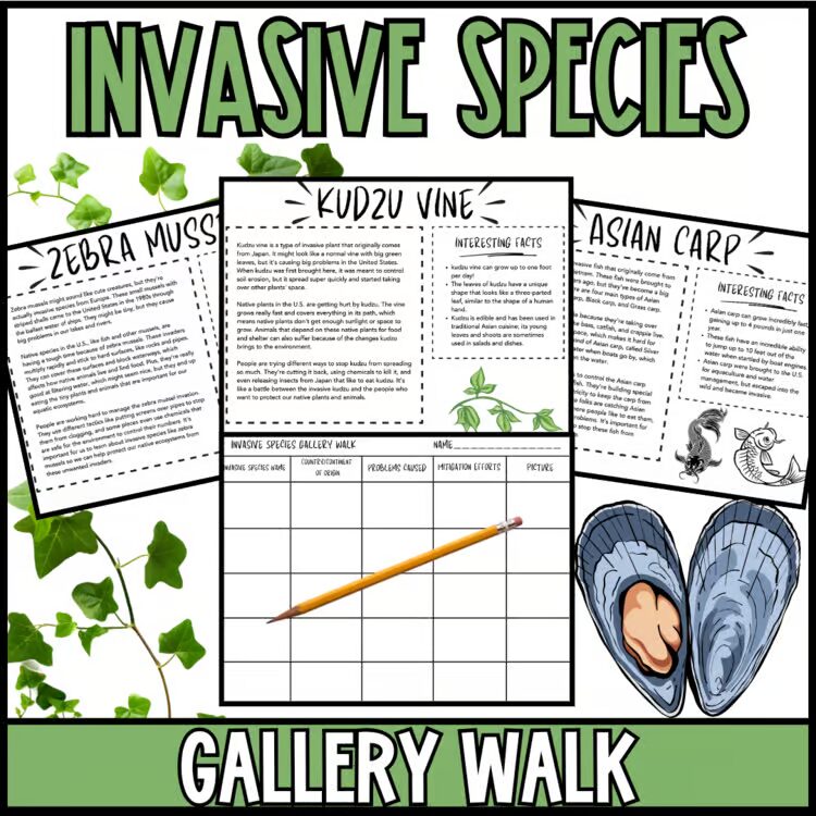 Invasive Species Gallery Walk human impact reading stations activity cover