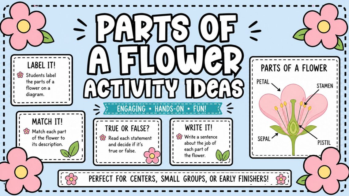 Parts of a Flower Activity Ideas blog featured image with flower anatomy labels.