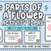 Parts of a Flower Activity Ideas blog featured image with flower anatomy labels.