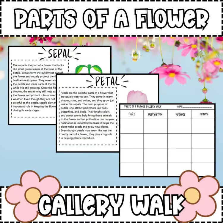 Parts of a Flower Gallery Walk reading stations science activity