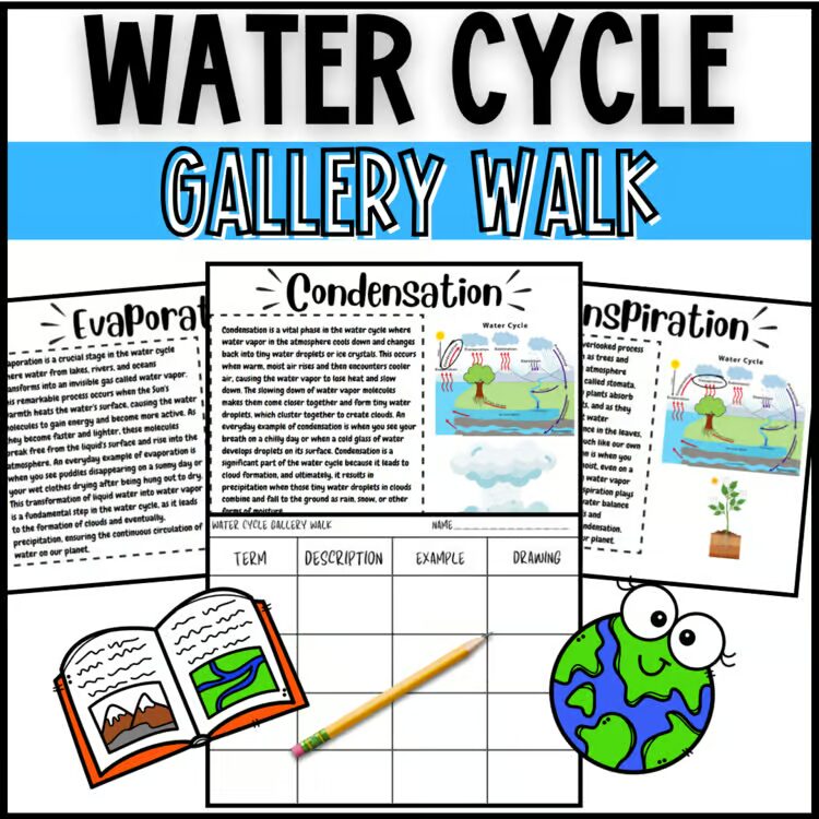 Water Cycle Gallery Walk earth science reading stations activity