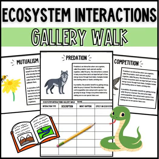 Ecosystem Interactions Gallery Walk reading stations activity cover for grades 4-6 science